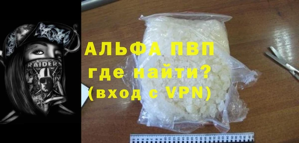 индика Алексин