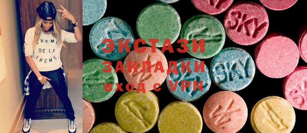 индика Алексин