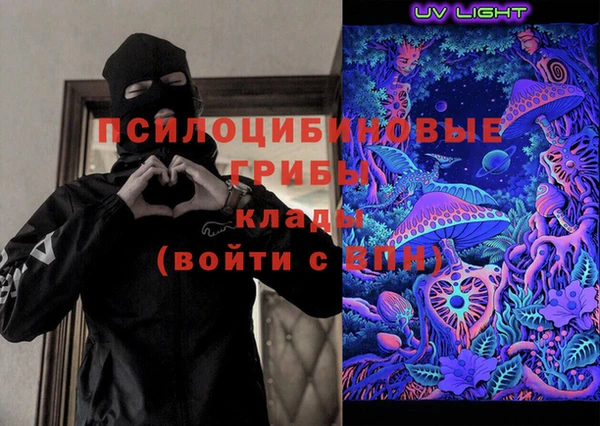 индика Алексин