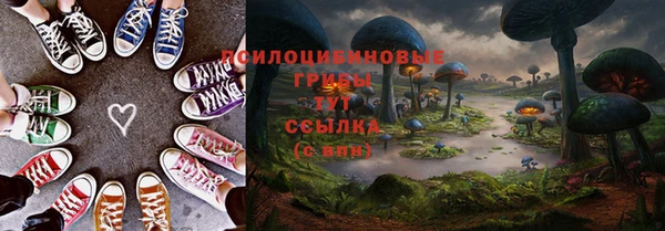 хмурый Алексеевка