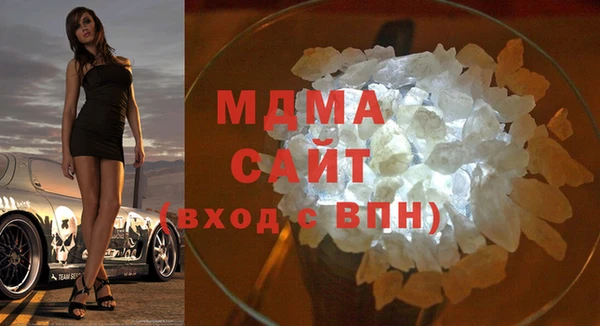 индика Алексин