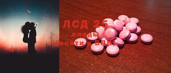 индика Алексин